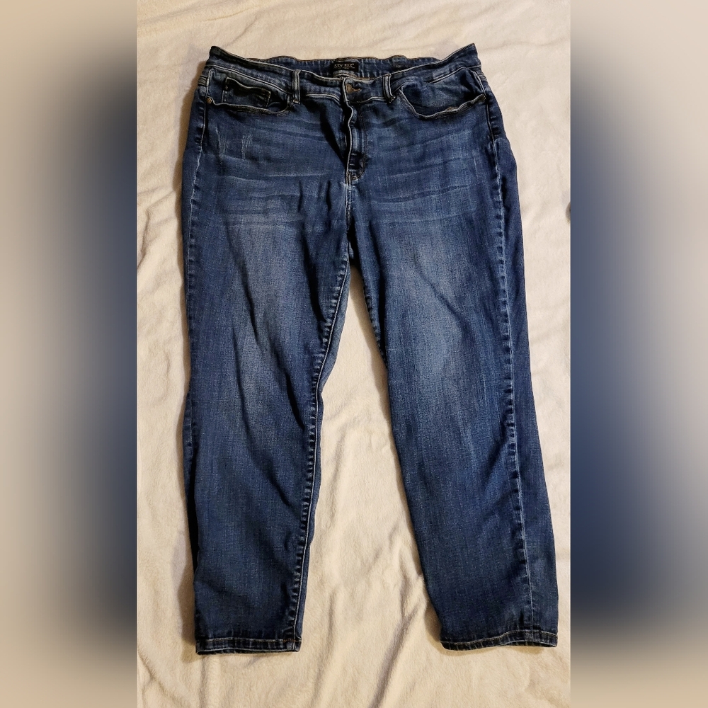 Judy Blue 22w non-distressed jeans